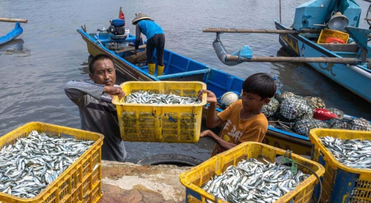 Dorong UMKM Berkembang, Begini Cara Pengajuan KUR Mandiri 2025 dan Simulasi Cicilan Pinjaman Rp25 Juta