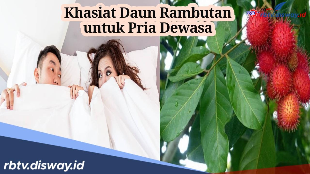 Khasiat Daun Rambutan untuk Pria, Ampuh Meningkatkan Libido, Begini Cara Konsumsinya