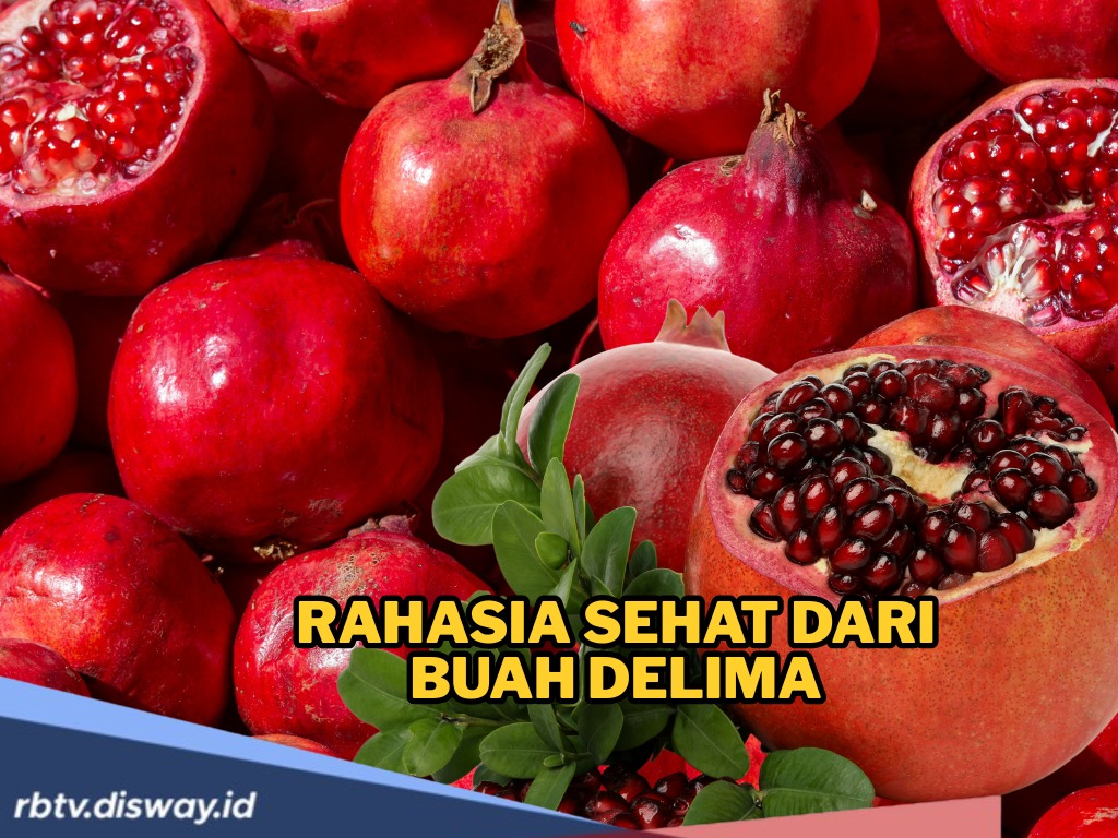 Rahasia Sehat dari Buah Delima, Si Merah Eksotis yang Punya Segudang Manfaat Kesehatan
