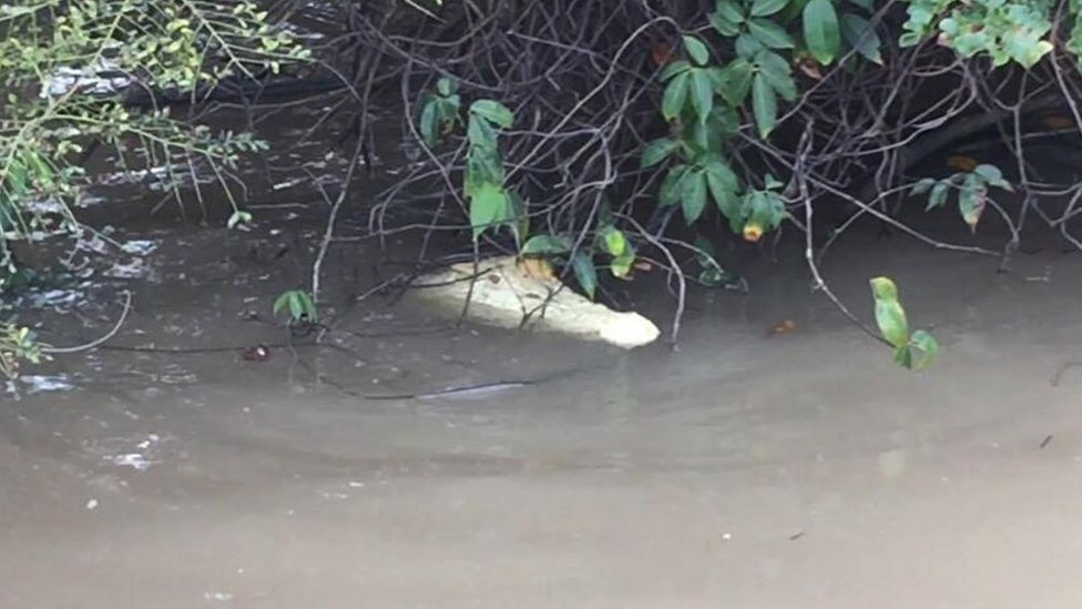 Misteri Keramat Muaro Penago di Seluma, Konon Ada Penampakan Buaya dan Si Jajil