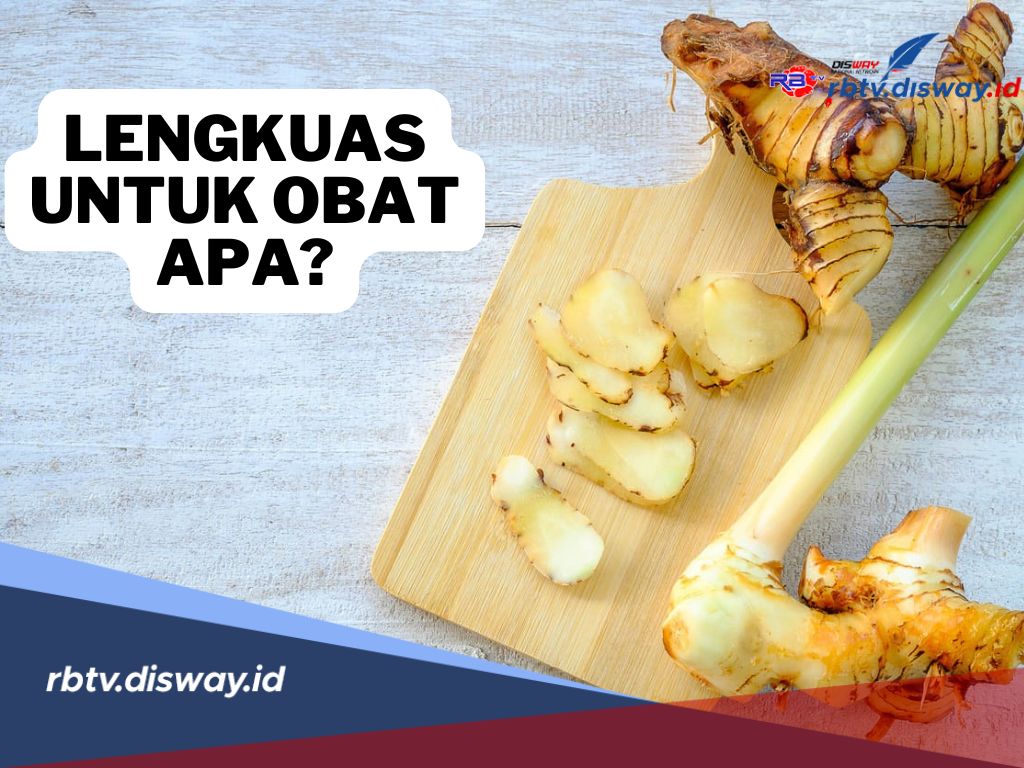 Bukan Hanya Bahan Dapur, Ternyata Lengkuas Ampuh Mengobati Berbagai Penyakit