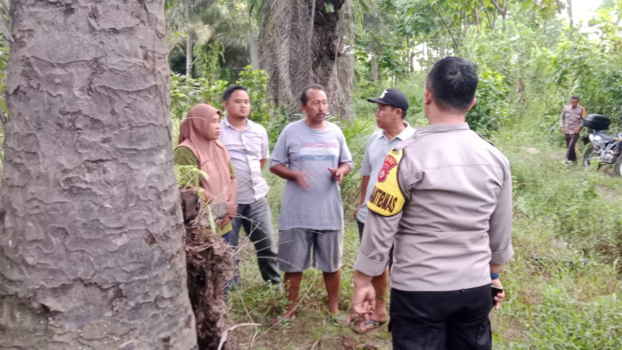 Heboh, Warga Seluma Temukan Bayi Berjenis Kelamin Perempuan di Kebun Sawit