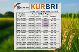 Pelaku UMKM Wajib Tahu, Ini 5 Hal Sepele yang Membuat Pengajuan KUR Super Mikro BRI Ditolak