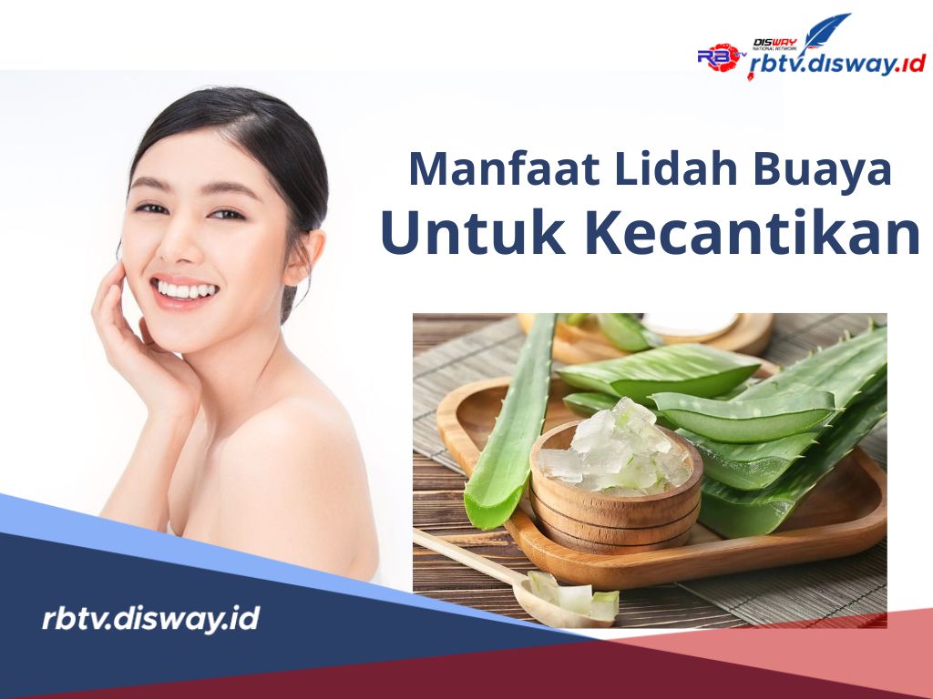 Your Beauty Your Healty, Ingin Cantik tapi Tetap Sehat? Ini Cara Cantik Alami dengan Lidah Buaya