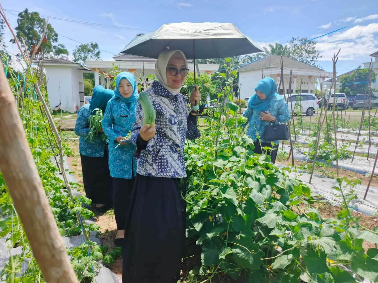 Tim Penggerak PKK Kaur Panen Sayur Mayur, Ketua TP PKK: Sumber Cuan yang Menciptakan Lingkungan Asri
