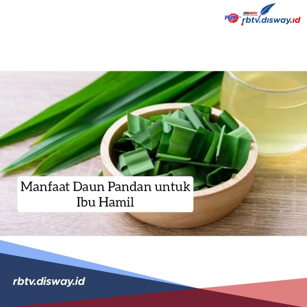 Tak hanya Bikin Harum Masakan, Ini Manfaat Daun Pandan untuk Ibu Hamil