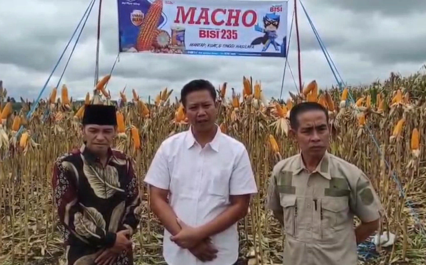 Lahan 1,5 Hektare di Desa Suro Ilir Sukses Hasilkan 10 Ton Jagung