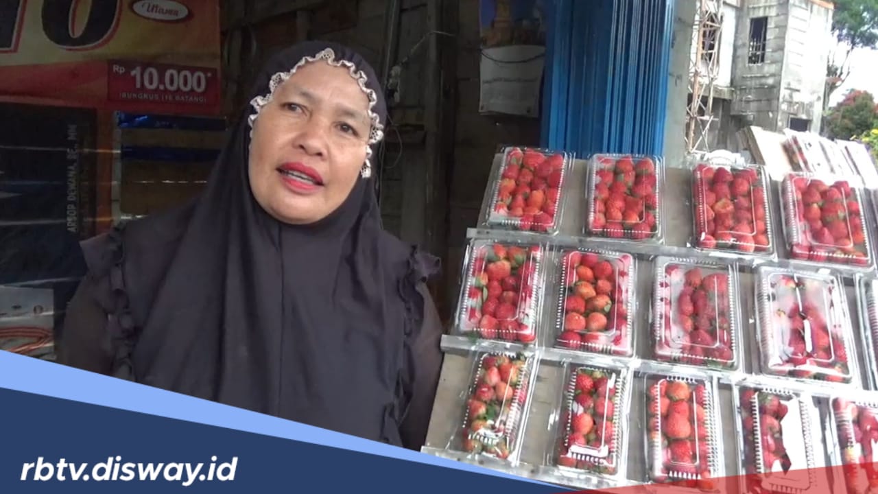 Libur Lebaran, Penjual Buah di Rejang Lebong Tersenyum Manis, Mereka Raup Untung Besar