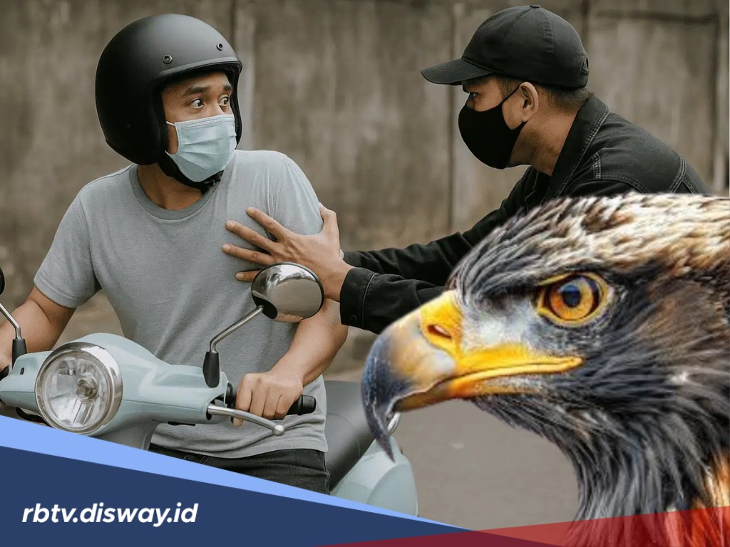 Heboh Soal Mata Elang, Apakah Profesi Ini Legal di Indonesia?