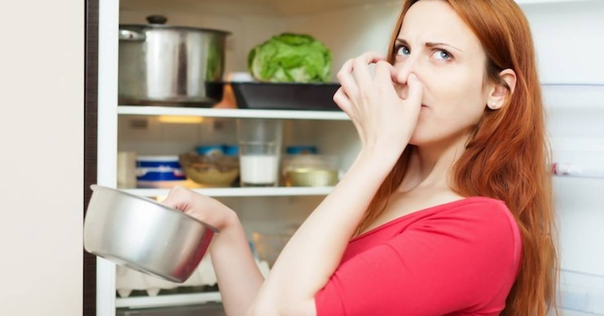 How to Deal with a Rusty and Odor-Prone Refrigerator
