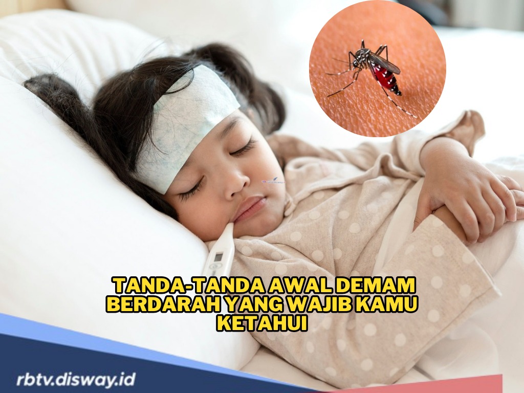 Jangan Anggap Remeh! Ini Tanda-tanda Awal Demam Berdarah yang Wajib Kamu Ketahui, Segera Tangani