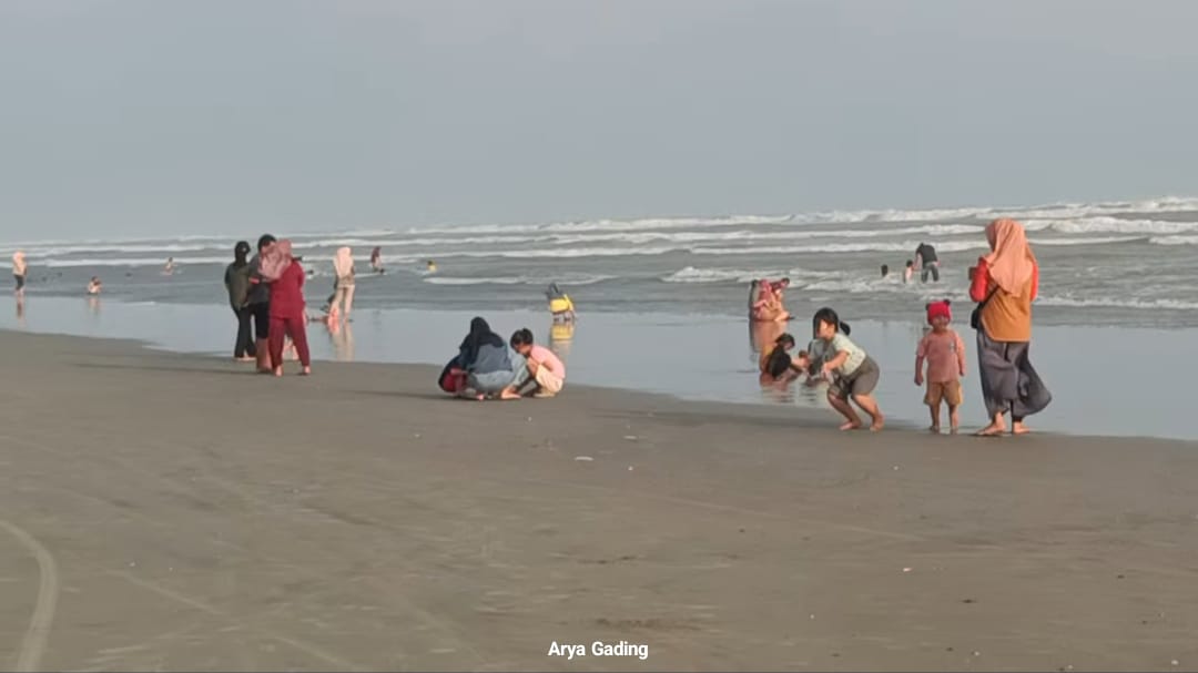 Pengunjung Pantai Pasar Seluma Diminta Waspada Jelatang Laut, Jika Tersengat Ini Obat Tradisionalnya