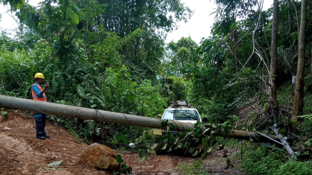 Waspada Cuaca Ekstrem! Tiang PLN di Seluma Roboh, Listrik Padam 