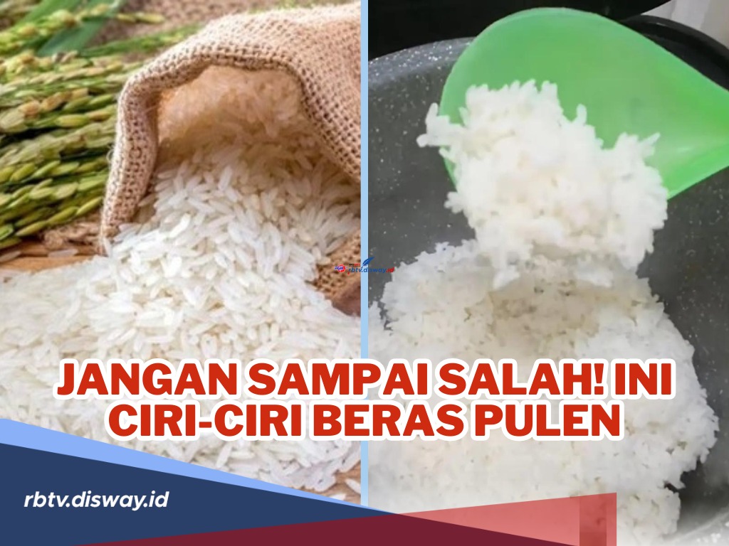 Biar Ngga Salah Masak! Begini Ciri-ciri Beras Pulen serta Rekomendasi Merek Beras Pulen yang Enak