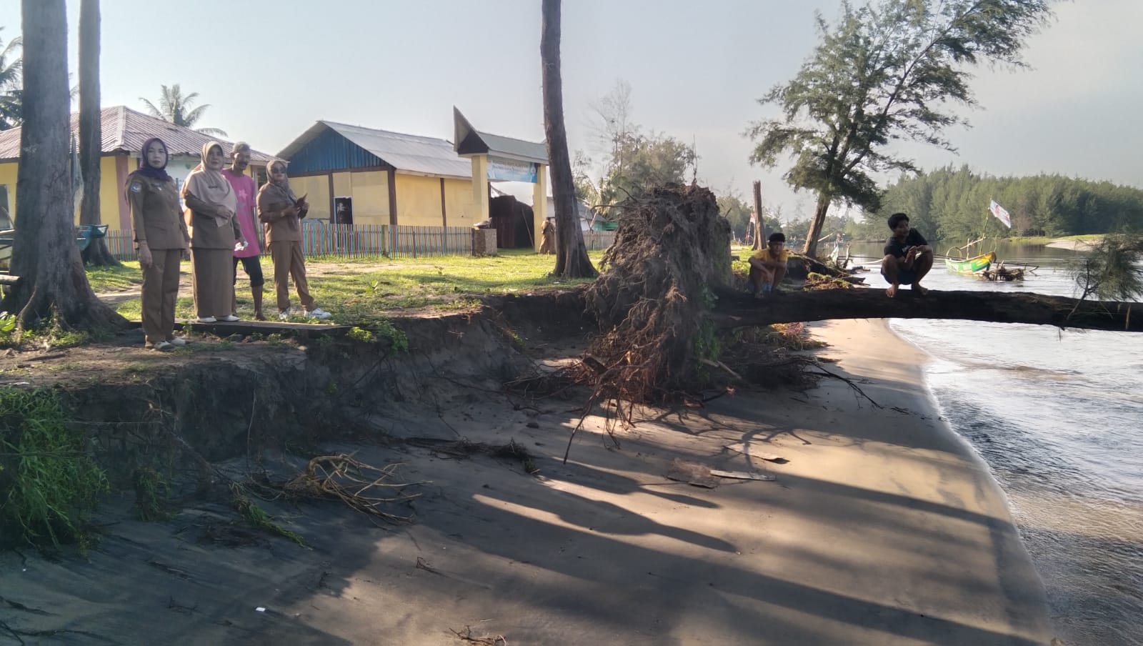 Abrasi Pantai Pekik Nyaring Ancam Rumah Pelestari Penyu