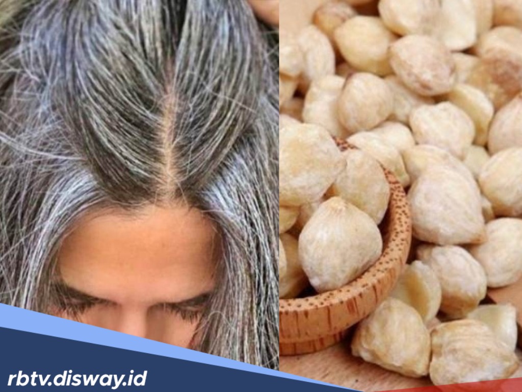 Ini Cara Ampuh dan Alami Untuk Hilagkan Uban, Cukup Dengan Kemiri