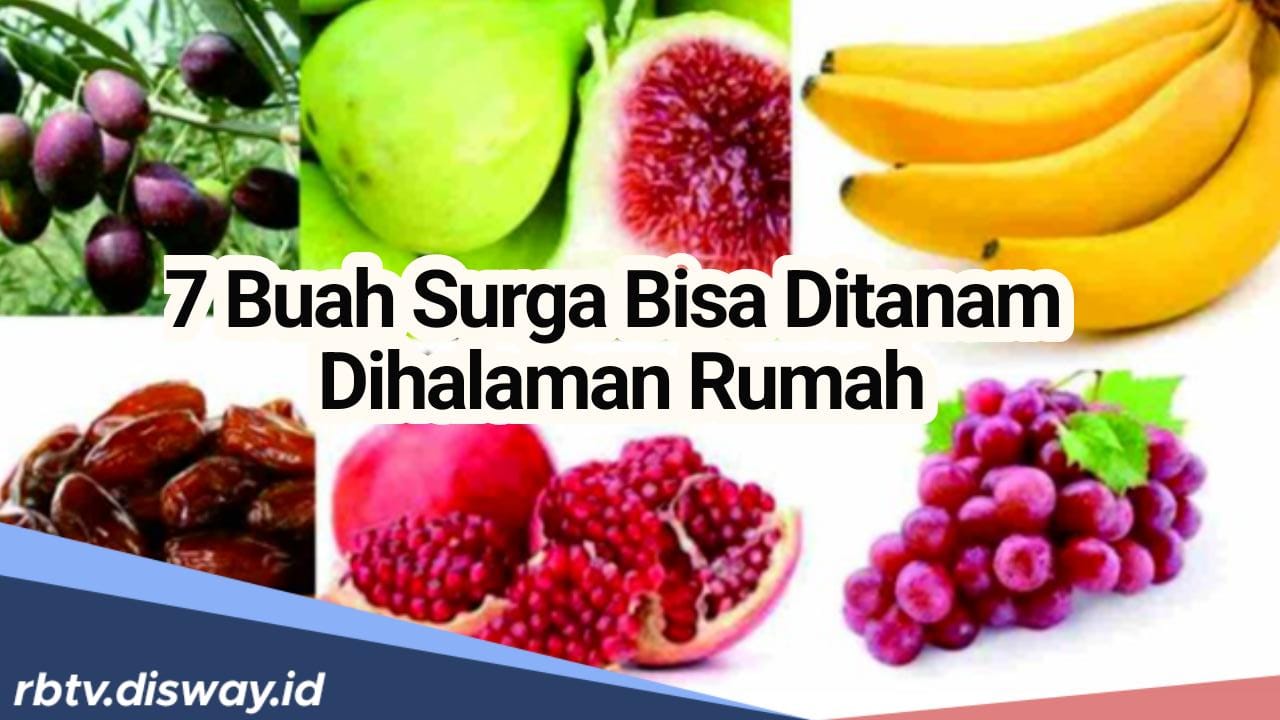 Ini 7 Tanaman Buah Surga yang Bisa Ditanam di Halaman Rumah, Tanpa Disadari Sering Ditemui