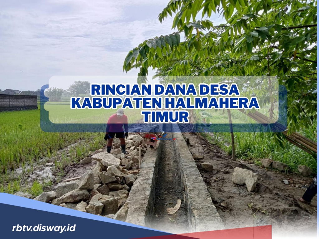 Cek di Sini, Rincian Dana Desa Kabupaten Halmahera Timur Tahun 2024