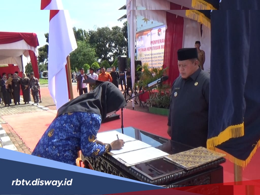 Sabar Ya, Hasil Seleksi PPPK Tahap 2 Pemkot Bengkulu Diumumkan 16-30 Juni