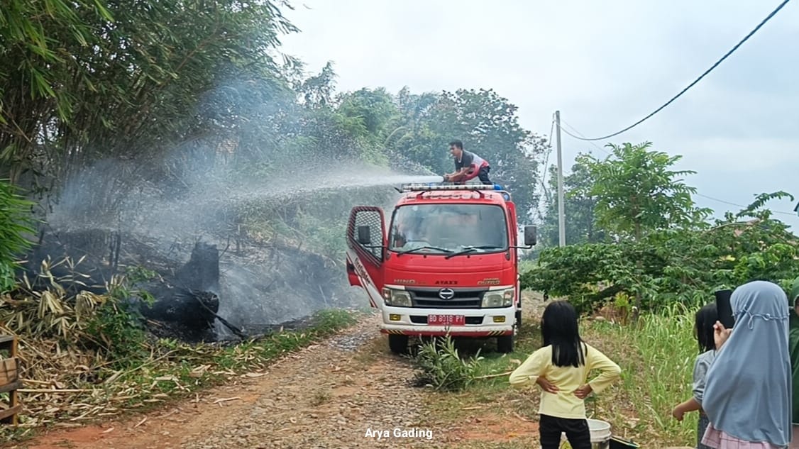 Seluma Dikepung Ancaman Karhutla, Armada Damkar Hanya 3 Unit yang Siap Tempur