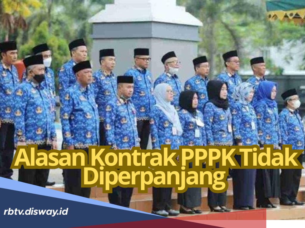 PPPK Wajib Tahu! Ternyata Ada 10 Alasan Kontrak Tidak Diperpanjang, Apa Saja?