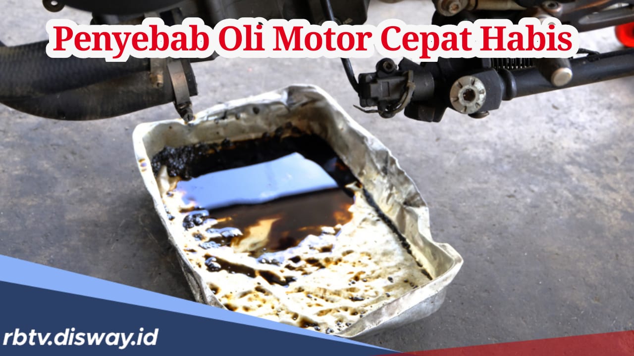 Ini Penyebab Oli Motor Cepat Habis, Jarang Diketahui!