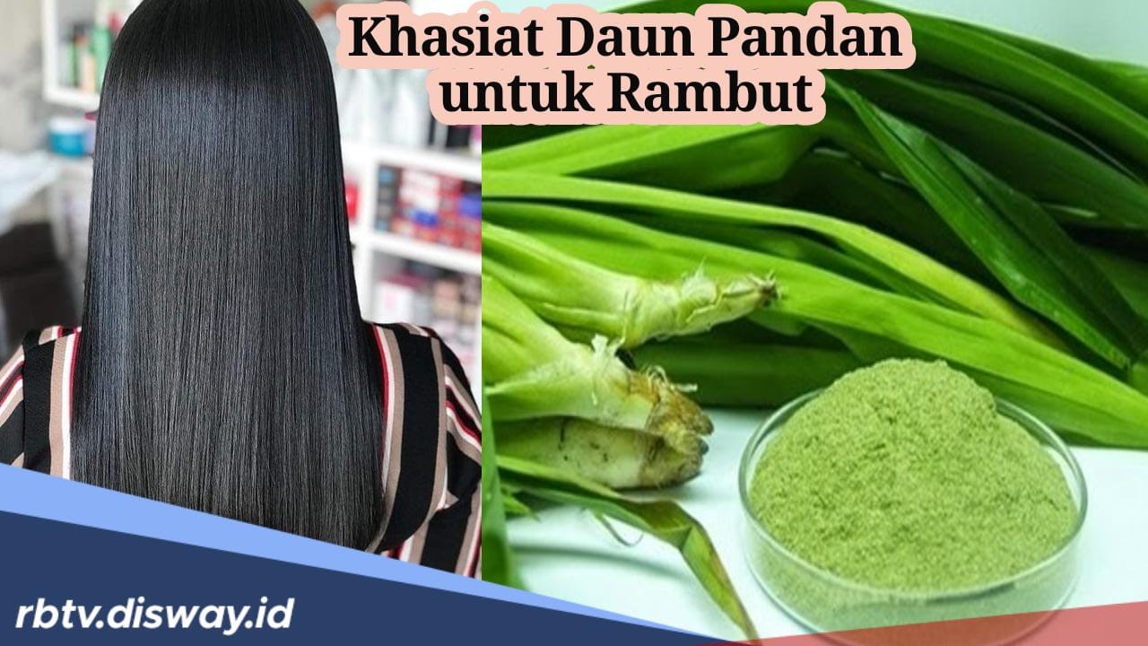 7 Khasiat Daun Pandan untuk Rambut, Solusi untuk Mengatasi Masalah Tanpa Bahan Kimia