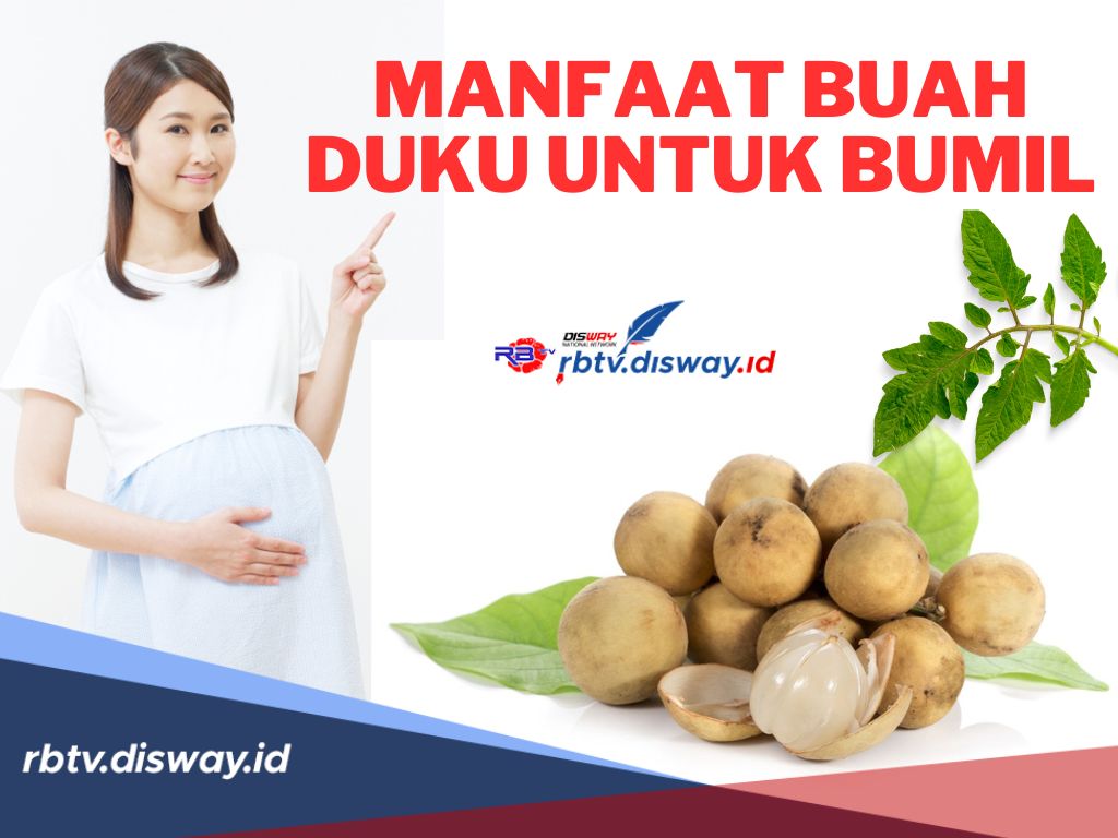 Ini Manfaat Buah Duku untuk Bumil! Mulai dari Kulit hingga Biji Buah Duku Bisa Dimanfaatkan 