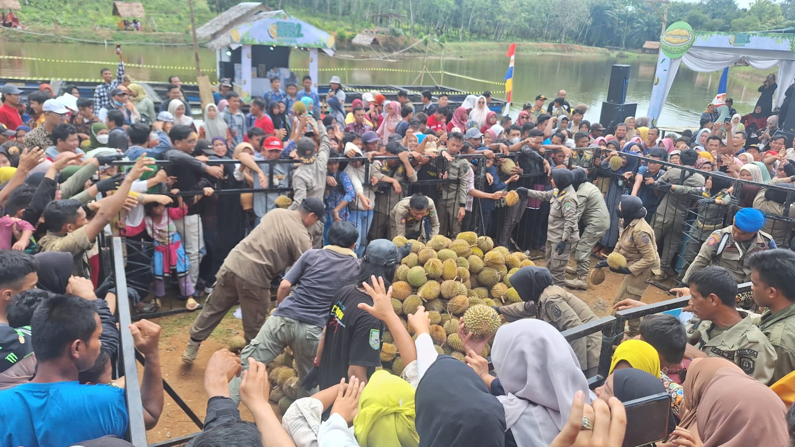 Tempo 10 Menit, 1000 Buah Durian Ludes Dibagikan dalam Festival Durian di Benteng