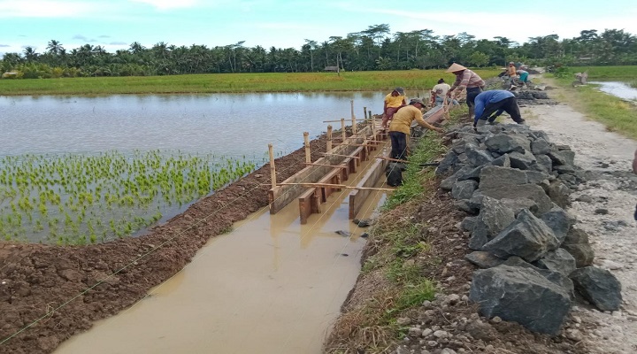 Tabel Rincian Dana Desa di Kabupaten Luwu Tahun 2024, Desa Mana dengan Dana Paling Sedikit?