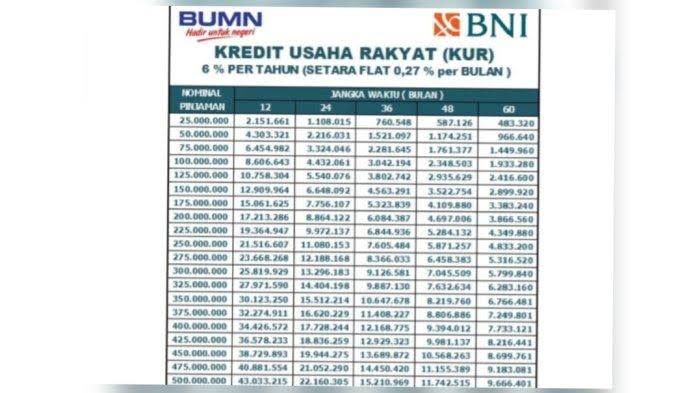 Rincian Tabel KUR BNI Terbaru Pinjaman Rp 10 Juta-Rp 500 Juta, Pilihan Untuk Modal Usaha