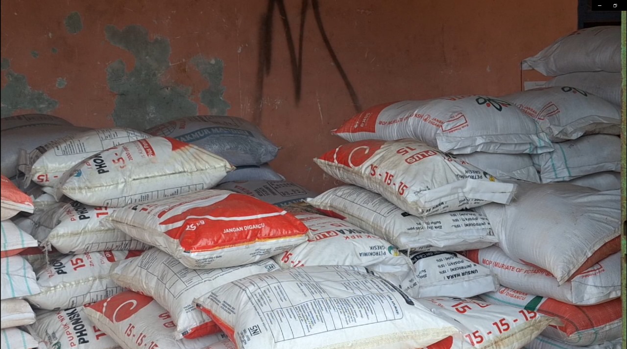 Aplikasi Integrasi Pupuk Subsidi (I-Pubers), Dinas Pertanian Klaim Penyaluran Pupuk Subsidi di Mukomuko Aman