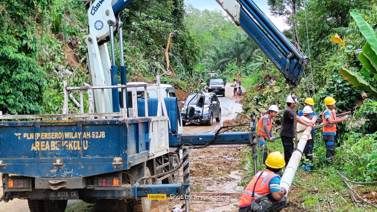 Larangan Tanam Pohon di Bawah Kabel, PLN Minta Kades Pro Aktif Imbau Warga