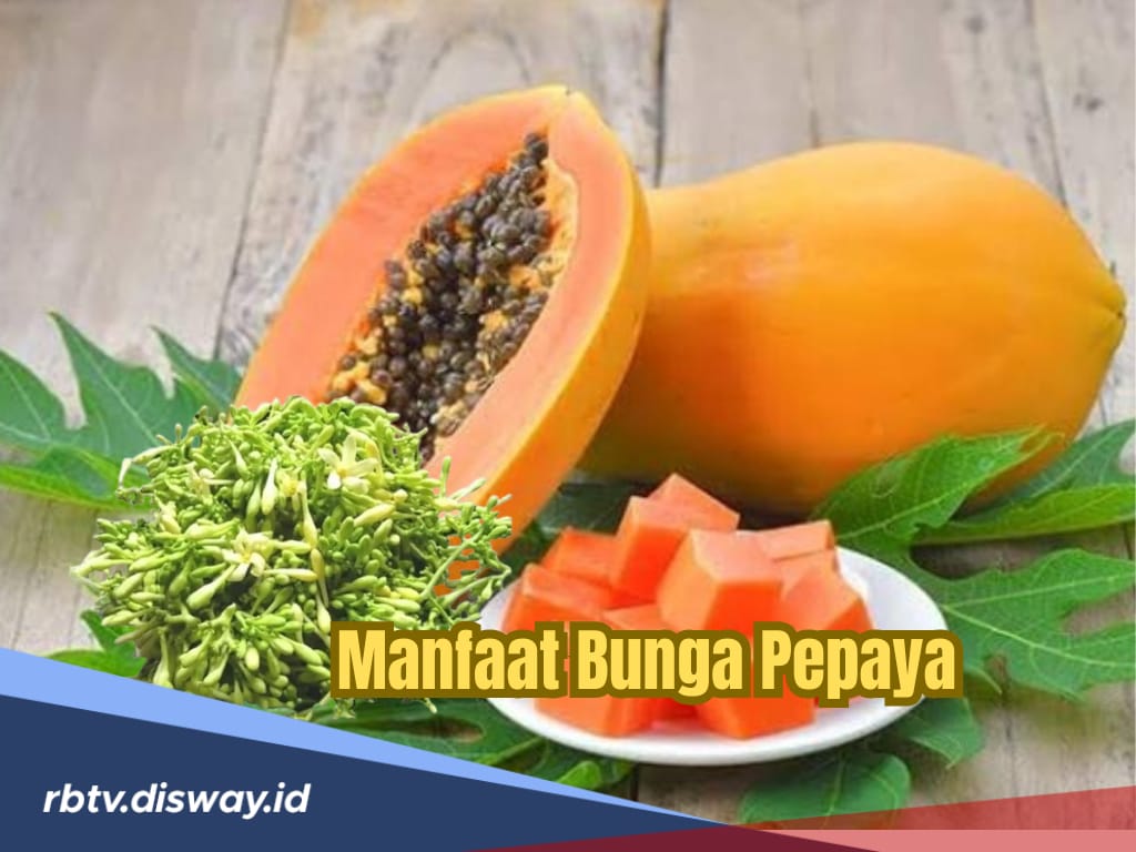 Dalam Rasa Pahitnya, Ternyata Ada 4 Manfaat Bunga Pepaya untuk Kesehatan Tubuh