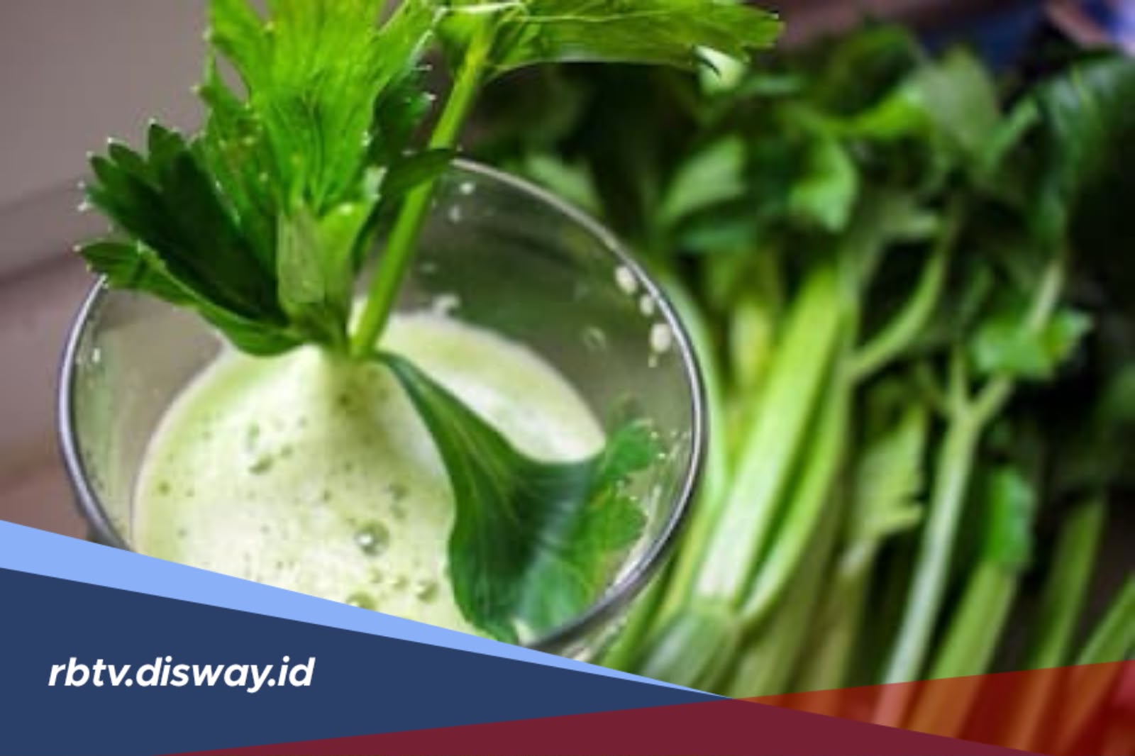 Segudang Manfaat Daun Ketumbar untuk Kecantikan, Simak Begini Cara Mengolahnya