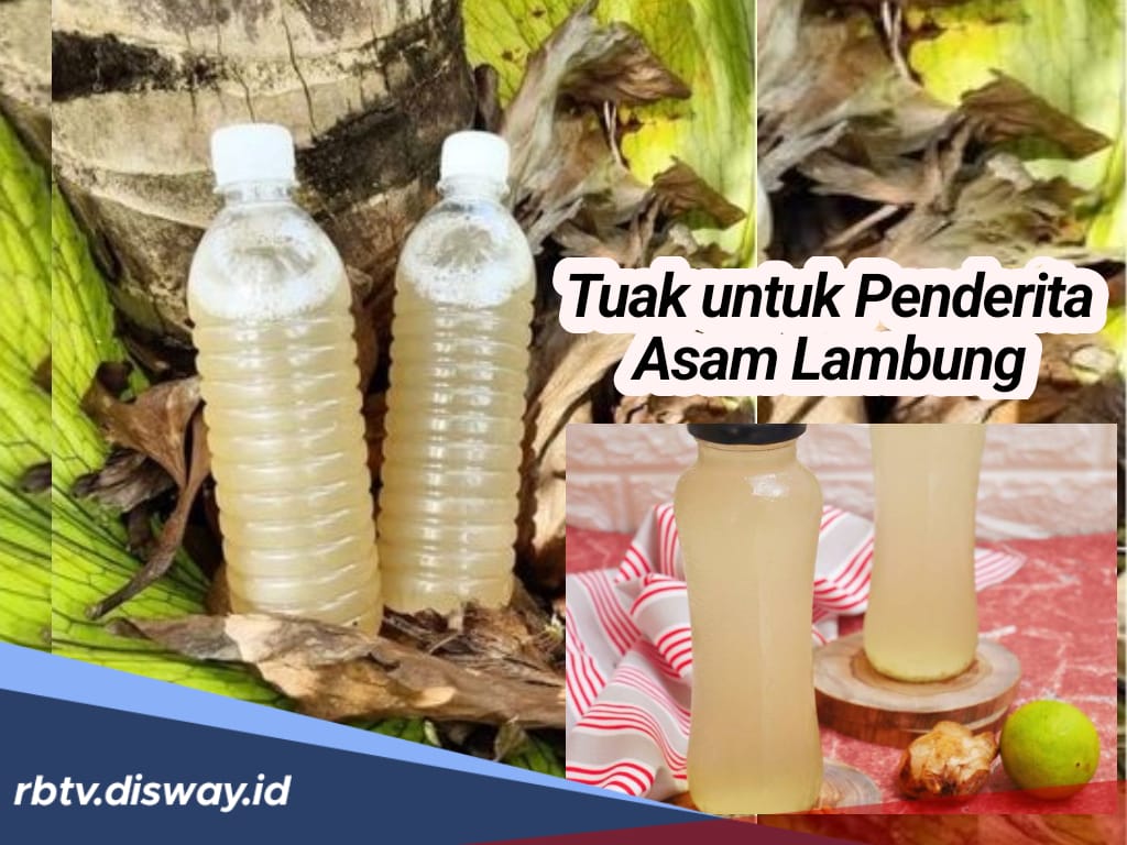 Berbahan Dasar Air Nira, Ini Sederet Manfaat Tuak untuk Penderita Asam Lambung? 