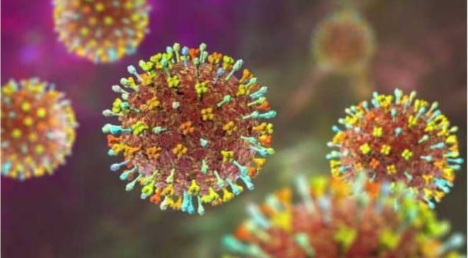 Virus Nipah Sangat Mematikan, Begini Gejalanya jika Tertular