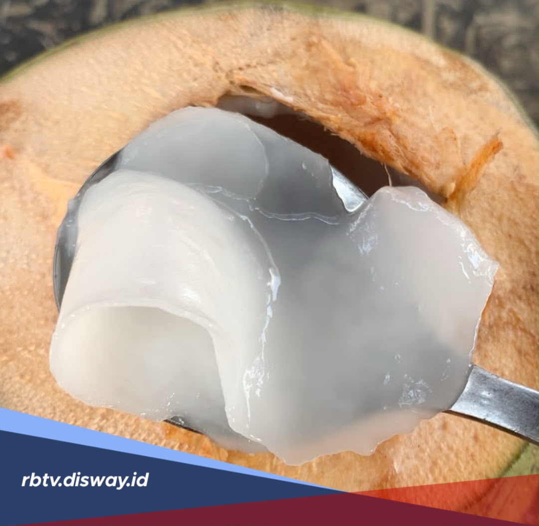 Manfaat Daging Kelapa Muda, Makanan yang Enak dan Berkhasiat untuk Kesehatan