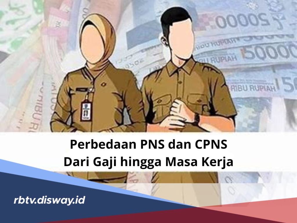 Serupa tapi Tak Sama, Ini Perbedaan PNS dan CPNS 2024, dari Gaji hingga Masa Kerja