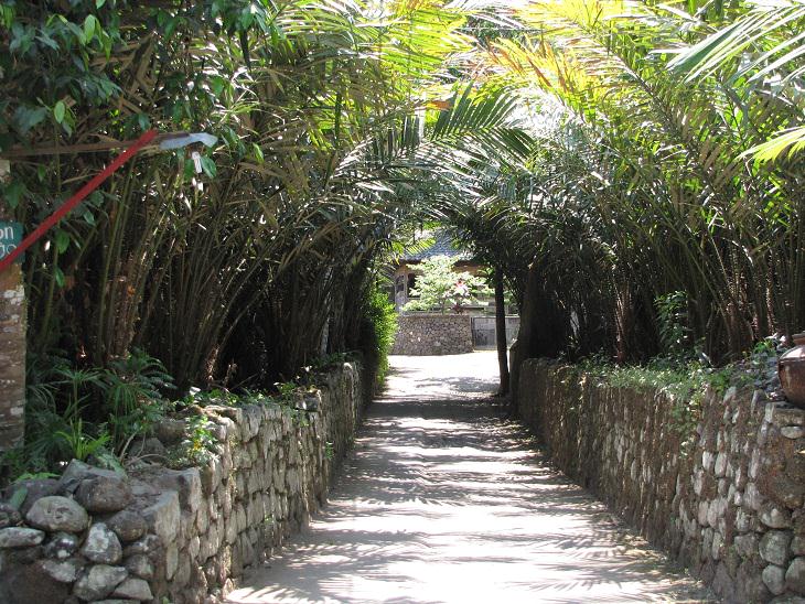 Tabel Lengkap Dana Desa di Provinsi Jambi Tahun 2025, Segini Dana yang Didapati Desamu (Bagian 3 Habis)