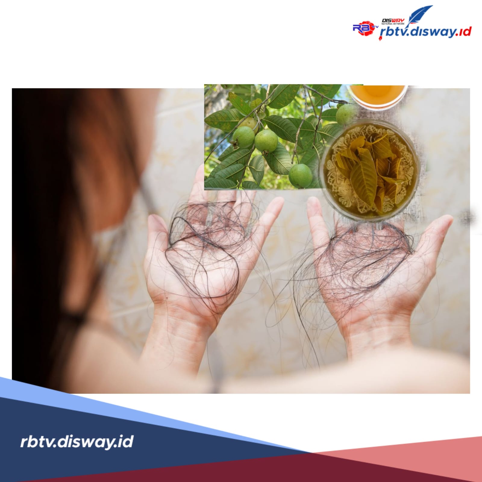 Cara Mengobati Rambut Rontok dengan Daun Jambu Biji, Terbukti Manjur