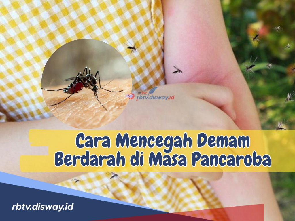 Tetap Waspada dengan Ancaman DBD, Ini Cara Mencegah Demam Berdarah di Masa Pancaroba