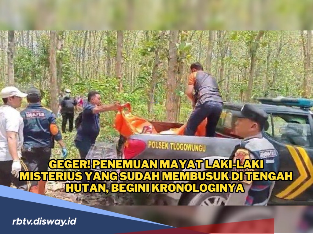  Penemuan Mayat Laki-laki Misterius di Tengah Hutan, Korban Diduga Berusia 60 Tahun