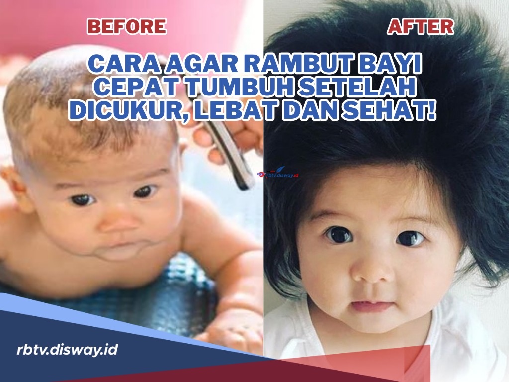 Cukup Dengan Bahan Alami, Begini Cara agar Rambut Bayi Cepat Tumbuh Setelah Dicukur, Lebat dan Sehat