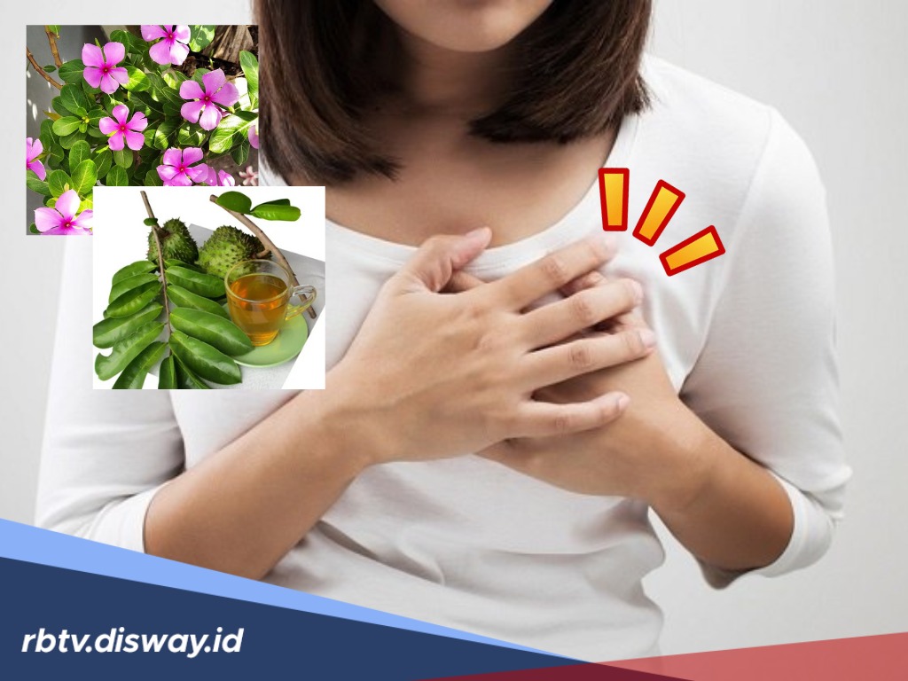 Tiba-tiba Muncul Benjolan di Payudara? Jangan Panik, Coba Tanaman Obat Ini untuk Menghilangkannya