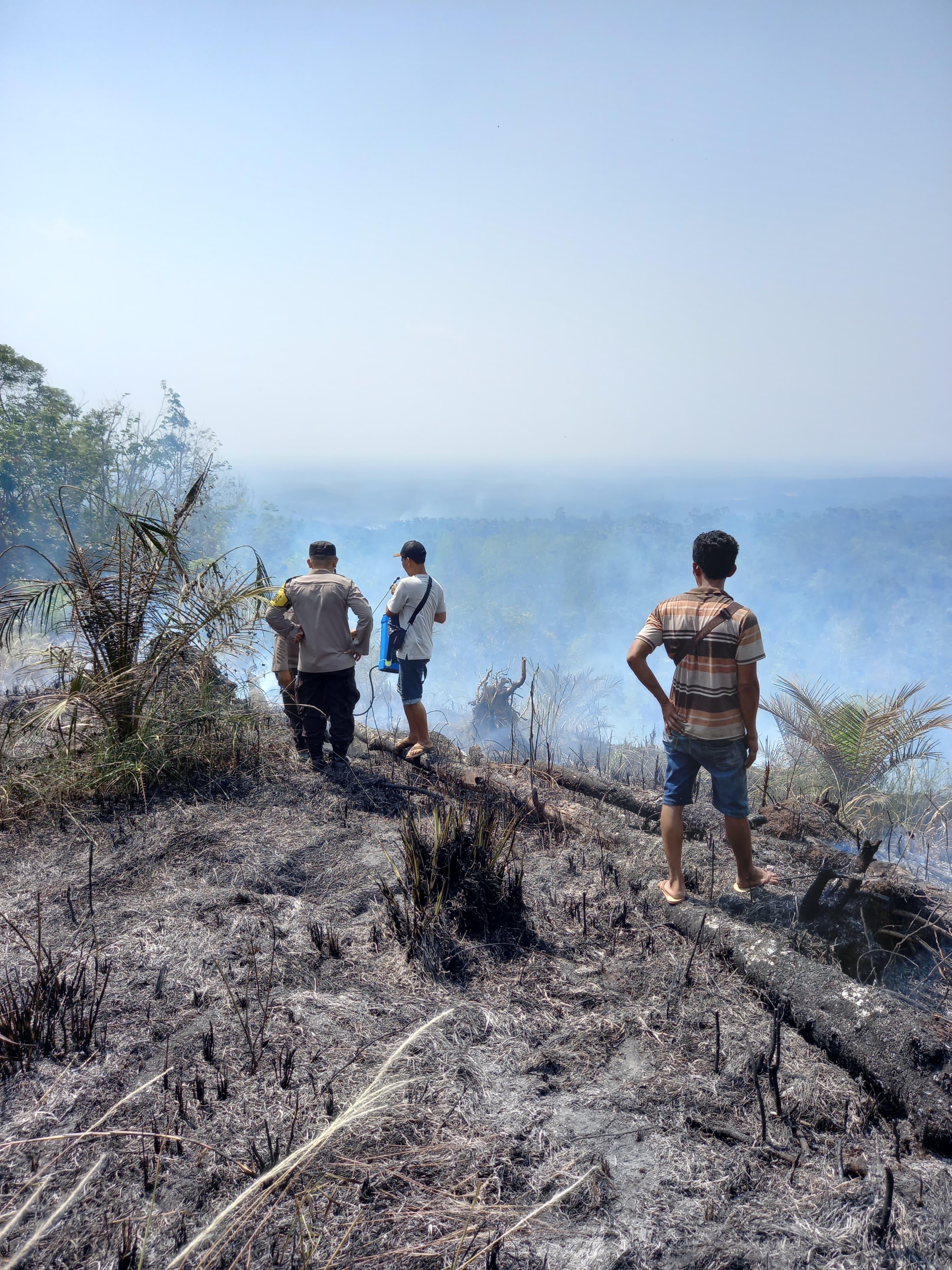 Kebun Sawit di Bengkulu Tengah Terbakar, Petani Merugi Rp 10 Juta