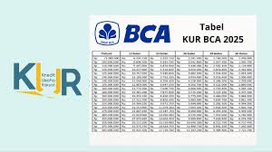 Pengajuan KUR BCA Rp 50 Juta Tanpa Jaminan, Bisa dari Rumah Atau Datang ke Bank
