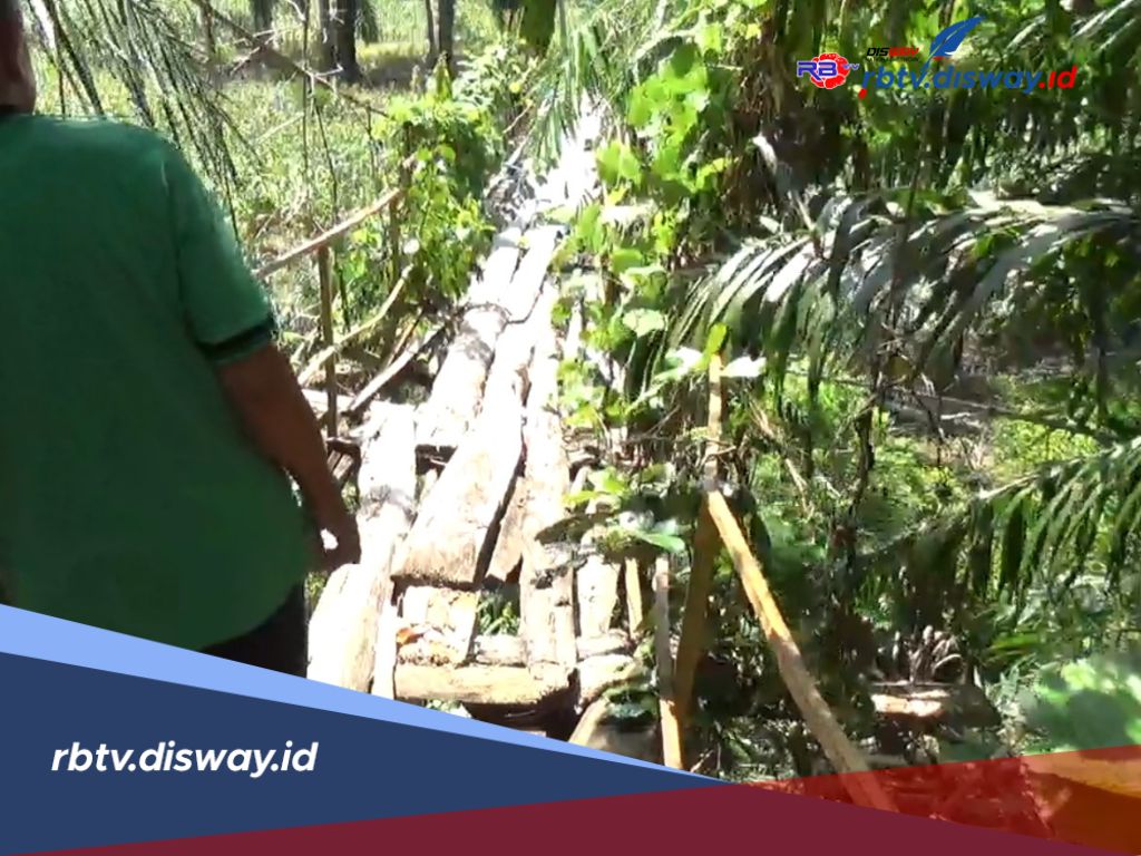 Derita Menahun Petani di Kaur Akibat Jembatan Rusak, Biaya Ojek Padi Naik Menjadi Rp 35 Ribu per Karung