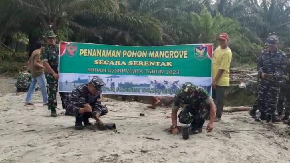 Atasi Abrasi Pantai Seluma, TNI AD dan AL Kolaborasi Tanam Ratusan Mangrove