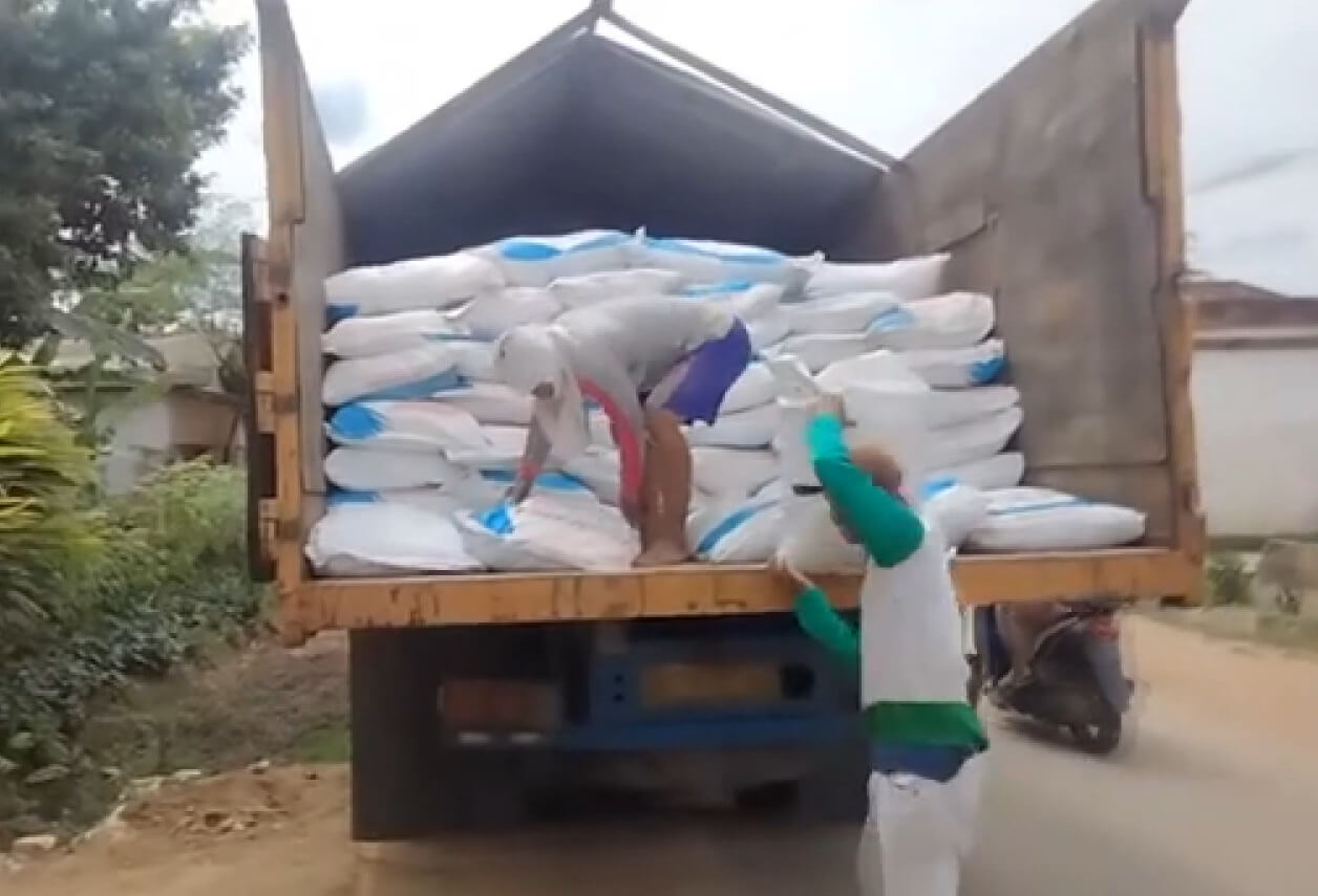 Program Swasembada Pangan, Ini Daftar Harga Pupuk Urea dan NPK Phonska di Kabupaten Seluma